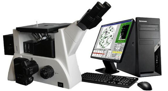Meizs MS600高級金相顯微鏡